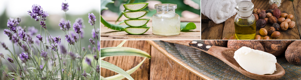 5 Soothing Ingredients That Will Keep Your Skin Moisturized