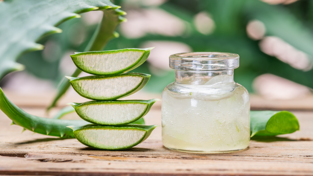 Aloe Vera: Why It's Good for Your Skin